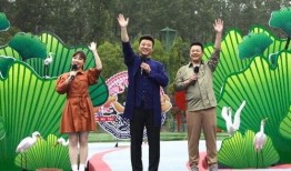 豫东团队爆料视频最新,揭秘神秘事件背后真相