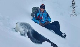南极之恋在线观看,冰封世界里的爱情传奇